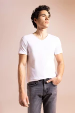 DEFACTO Slim Fit V Neck T-Shirt