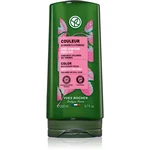 Yves Rocher Couleur kondicionér pro barvené vlasy 200 ml