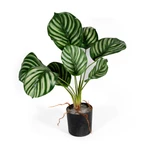Dekorativní umělá rostlina II - Hawaj - 30 cm