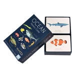 Gra karciana Ocean – Rex London