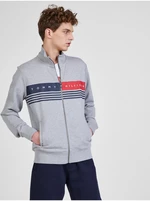 Light gray men's sweatshirt with print Tommy Hilfiger - Men