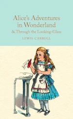 Alice's Adventures in Wonderland and Through the Looking-Glass - Lewis Carroll