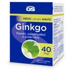 GS Ginkgo 40 mg 90 + 30 tablet