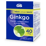 GS Ginkgo 40 mg 90 + 30 tablet