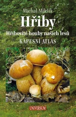 Hřiby (Defekt) - Michal Mikšík