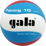 Gala Training 10 Hallenvolleyball