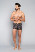 Men's boxers Pinus - print