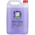 Tekuté antibakteriálne mydlo RIVA, 5 kg