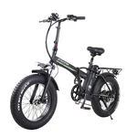 [EU DIRECT] JINGHMA R8 800W 48V 15Ah*2 20in Electric Bicycle 90km Mileage Range 120kg Max Load Electric Bike