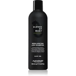 Alfaparf Milano Blends of Many Rebalancing šampón proti lupinám 250 ml