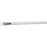 Barthelme 66100013 66100013 pripojovací kábel     Dĺžka kábla: 1.00 m 24 V/DC  (d x š x v) 1000 x 7 x 3 mm