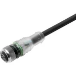 Připojovací kabel pro senzory - aktory Weidmüller SAIL-M12BG-3L1.5U 1292620150 zásuvka, rovná, 1.50 m, 1 ks