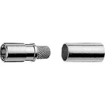 SMB konektor Telegärtner J01161A0391 - zásuvka, rovná, 4.95 mm, 50 Ω, 1 ks
