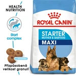 Royal Canin MAXI STARTER - 15kg