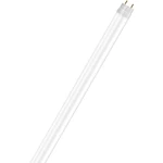 OSRAM 4058075292451 LED  En.trieda 2021 A ++ (A ++ - E) G13 tyčový tvar 21 W neutrálna biela (Ø x d) 26.7 mm x 1513.0 mm