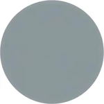 Absima farba Lexan dymová  dóza 150 ml