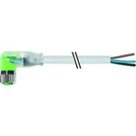 Neupravený zástrčkový konektor pro senzory - aktory Murr Elektronik 7000-08121-2200500 5.00 m, 1 ks