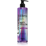 Delia Cosmetics Cameleo Silver šampon neutralizující žluté tóny 250 ml