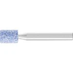 BRUSNÉ tělísko PFERD 31115336 Průměr 10 mm