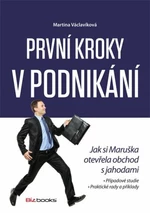 První kroky v podnikání - Martina Václavíková - e-kniha