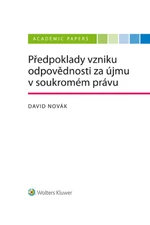 Předpoklady vzniku odpovědnosti za újmu v soukromém právu - David Novák - e-kniha