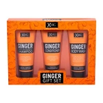 Xpel Ginger dárková kazeta šampon 100 ml + kondicionér 100 ml + sprchový gel 100 ml pro ženy proti lupům