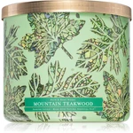 Bath & Body Works Mountain Teakwood vonná sviečka 411 g