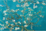 Plakát 61x91,5cm – Vincent Van Gogh - Almond Blossoms