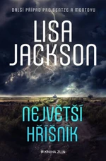 Největší hříšník - Lisa Jackson