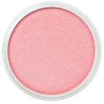 PanPastel 9ml – 953.5 Pearl Red