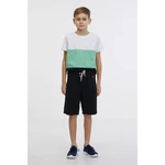 SAM73 Falko Boys' Shorts - Boys