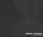 NIGHTFOX_AUDIO Nightfox Audio String Central (Prodotto digitale)