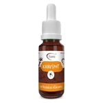 FAUNA Kanuspot při zvýšeném výskytu klíšťat, blech a hmyzu 20 ml
