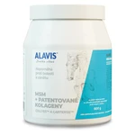 ALAVIS MSM + Patentované kolageny pro koně prášek 600 g