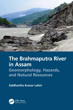 The Brahmaputra River in Assam