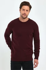 Lafaba Men's Claret Red Crew Neck Basic Knitwear Sweater
