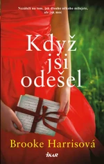 Když jsi odešel (Defekt) - Brooke Harrisová
