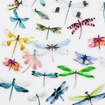 40 pcs /Pack Insects Dragonfly Butterfly PVC Specimen Decorative Stickers DIY Book Album Decoration
