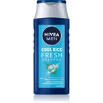 NIVEA MEN Cool šampón pre normálne až mastné vlasy pre mužov 250 ml NIVEA MEN Cool šampón pre normálne až mastné vlasy pre mužov 250 ml