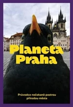 Planeta Praha - David Storch, Ondřej Sedláček, Petr Šípek, Jan Albert Šturma, Silvie Luběnová