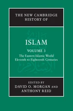 The New Cambridge History of Islam