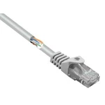 Síťový kabel RJ45 Basetech BT-1717530, CAT 5e, U/UTP, 2.00 m, šedá