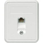 Síťová zásuvka na omítku CAT 5e Telegärtner J00023A0174, 1 port, alpská bílá