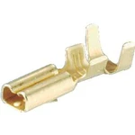 Faston zásuvka Schlegel FH2,8 2.8 mm x 0.8 mm, 180 °, bez izolace, kov, 1 ks