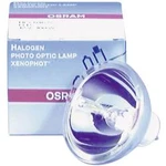 Halogenové efektová žárovka OSRAM 88285010, 12 V, 100 W, N/A, 1 ks