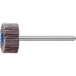Vějířová bruska NA KŮŇ PFERD 47801527 Průměr 20 mm
