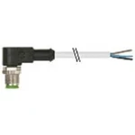 Neupravený zástrčkový konektor pro senzory - aktory Murr Elektronik 7000-12121-2250300 3.00 m, 1 ks