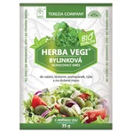 HERBA VEGI Bylinková ochucovací směs BIO 35 g