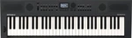 Roland GO:KEYS 5 Billentésérzékeny szintetizátor Graphite