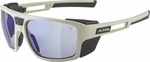 Alpina Skywalsh V Cool/Grey Matt/Blue Outdoor rzeciwsłoneczne okulary